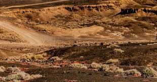 两人传接球，第三人要动 国际米兰这场比赛中有大量的“第三人动” 战术视角